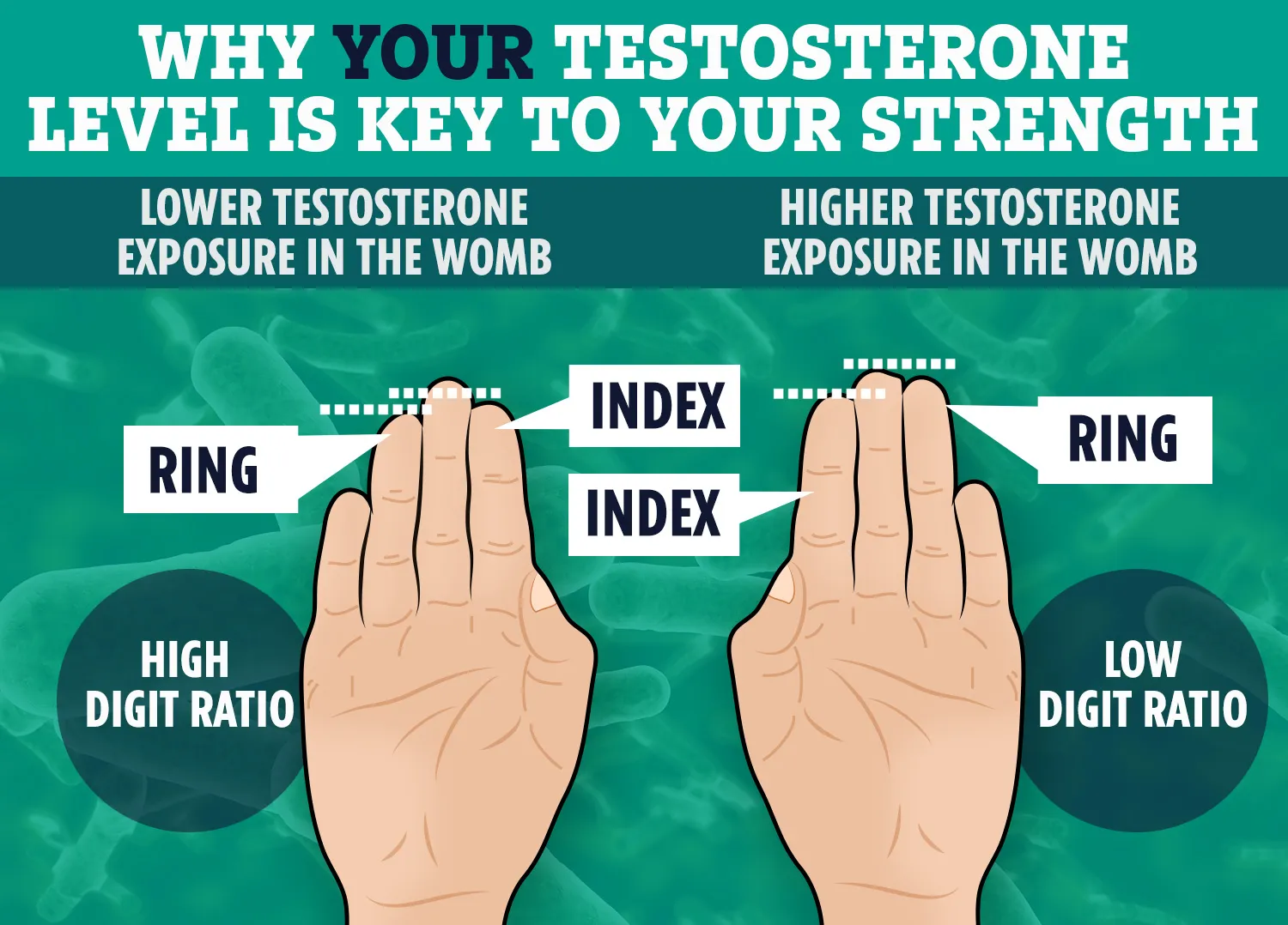 28 Sự Thật Thú Vị Về Tình Dục Có Thể Bạn Chưa Biết