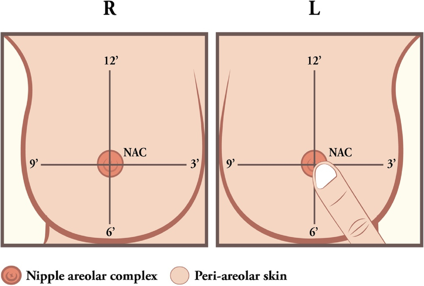 Bí quyết kích thích đầu ti khiến nàng ngây ngất khó cưỡng