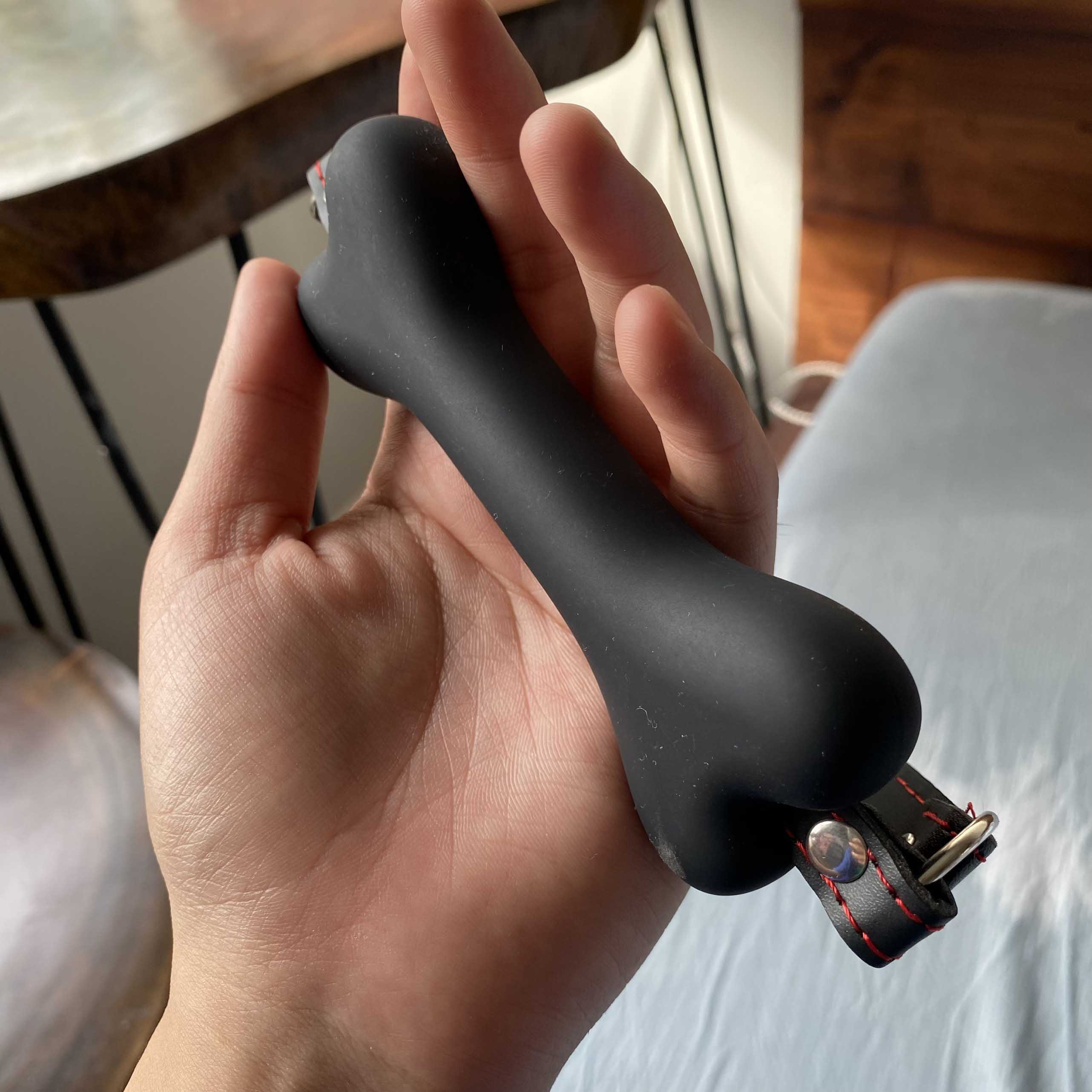 Bịt miệng Bit Gag xương chó