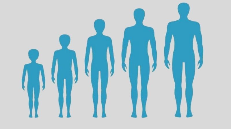 Con Trai Mấy Tuổi Dậy Thì? Dấu Hiệu Và Cách Nhận Biết Chuẩn Xác