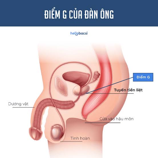 Điểm G Là Gì? Vị Trí, Cách Tìm Và Kích Thích Tạo Cực Khoái Mạnh Mẽ