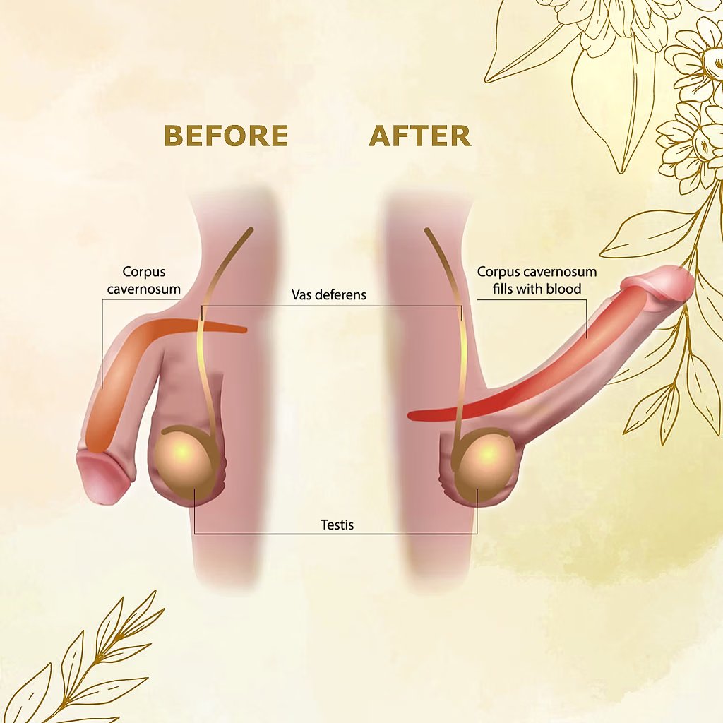 Khám Phá Massage Dương Vật – Tăng Khoái Cảm Và Cải Thiện Sức Khỏe Sinh Lý