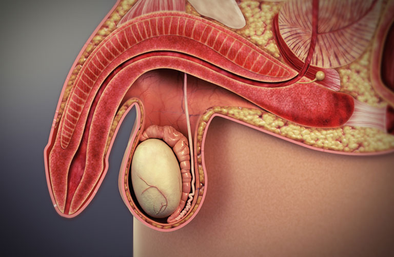 Tìm hiểu bệnh liệt dương: Khái niệm, nguyên nhân và cách phòng ngừa