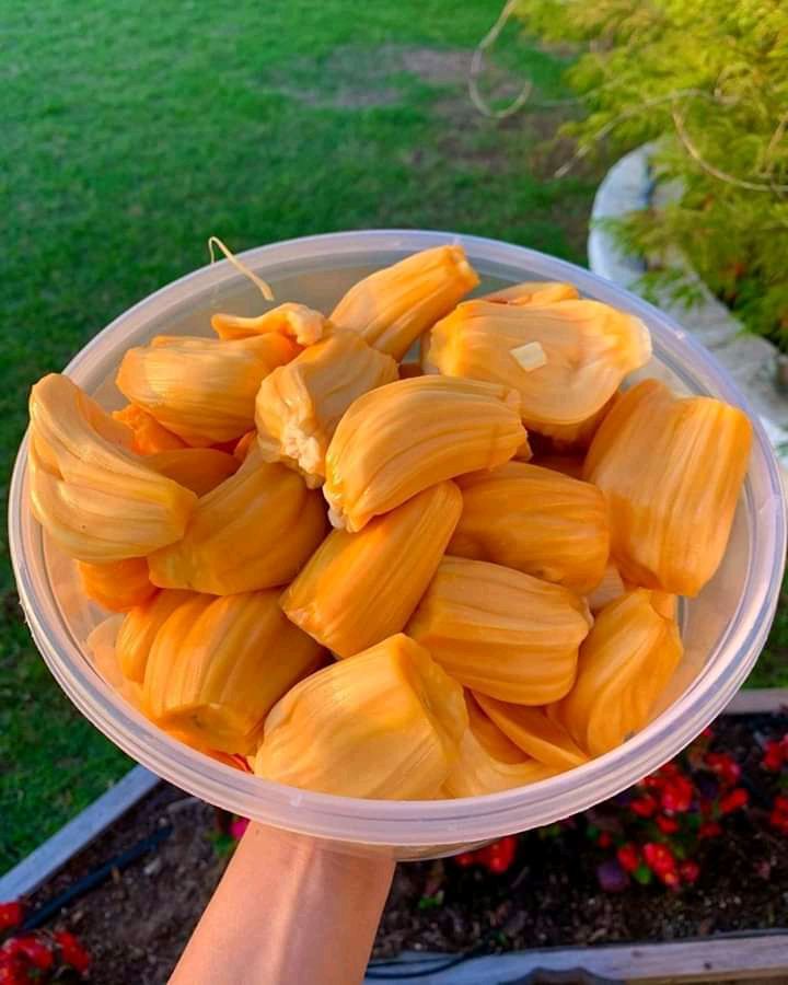 Liệu Ăn Mít Có Khiến Da Bạn Bị Mụn? Phân Tích Tác Động Từ Dinh Dưỡng