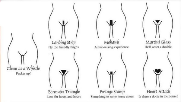 Lông vùng kín cứng và xoăn có bình thường không? Giải đáp chi tiết từ A-Z