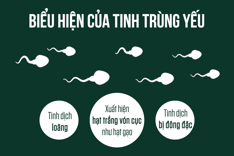 Nguyên Nhân Gây Tinh Trùng Yếu Ở Nam Giới Và Cách Cải Thiện Hiệu Quả