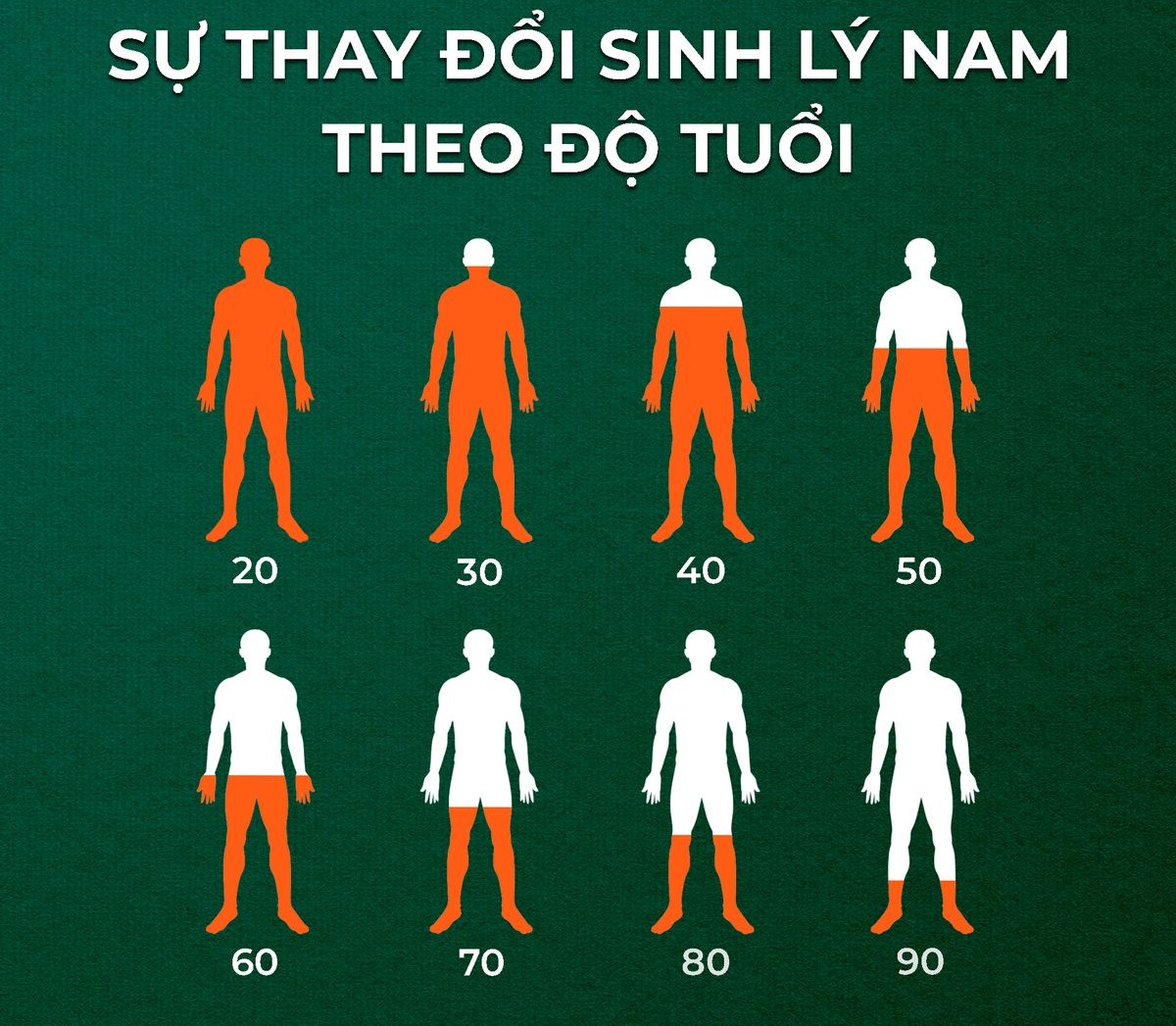 Nhu Cầu Sinh Lý Là Gì? Giải Đáp Chi Tiết & Cách Tăng Cường Tự Nhiên