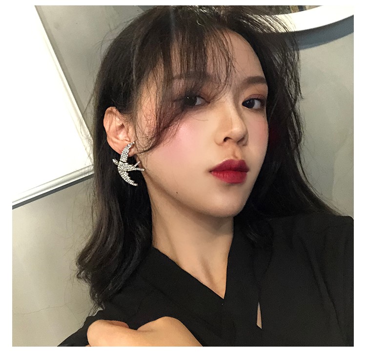 Khuyên tai bạc cánh chim én