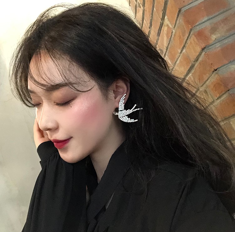 Khuyên tai bạc cánh chim én