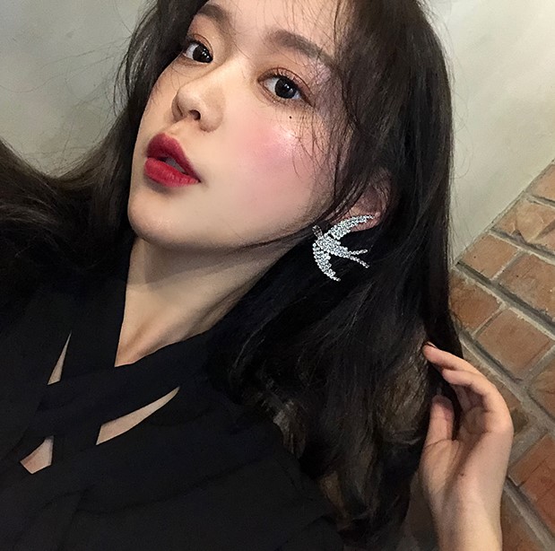 Khuyên tai bạc cánh chim én