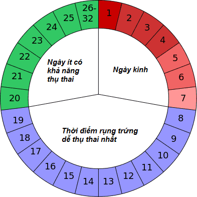 Thời Điểm Quan Hệ Tình Dục Tốt Nhất Trong Ngày Và Theo Chu Kỳ