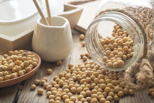 Thực Phẩm Có Thể Gây Liệt Dương Cho Nam Giới – Những Lưu Ý Quan Trọng Cần Nhớ