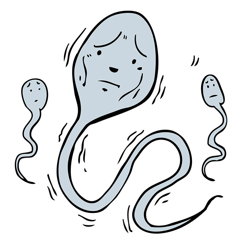 Vô Sinh Có Điều Trị Được Không? Nguyên Nhân Và Giải Pháp Y Khoa Hiệu Quả Nhất Hiện Nay