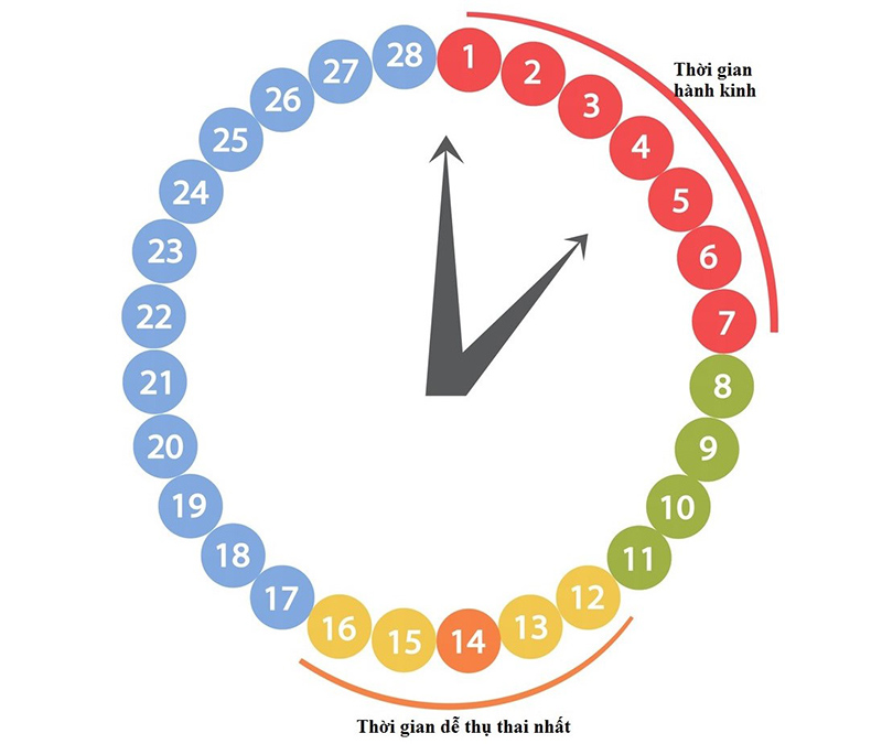 Vừa Hết Kinh 2 Ngày Quan Hệ Có Bầu Không? Bác Sĩ Giải Đáp Chi Tiết