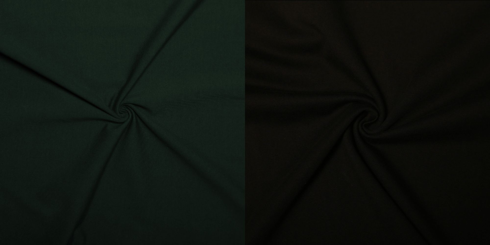 áo thun local brand đẹp