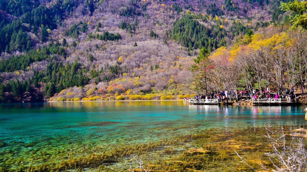 khu-du-lich-cuu-trai-cau-mo-cua-tro-lai-chao-don-du-khach