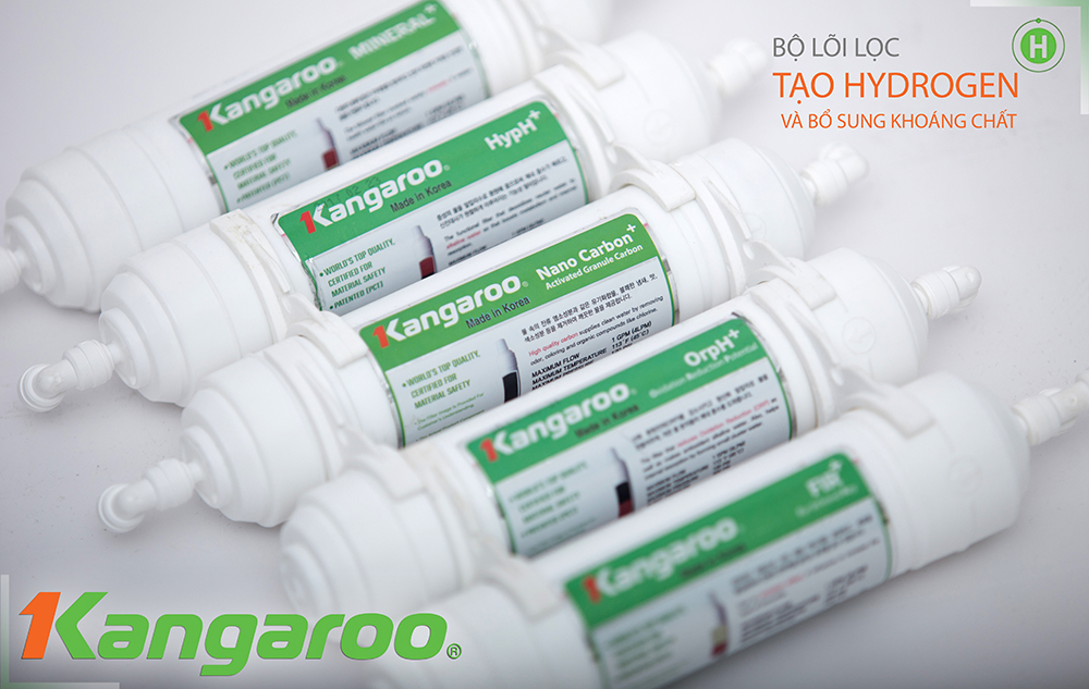 Máy Lọc Nước RO 9 Lõi