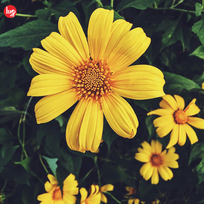 du lịch đà lạt tháng 9