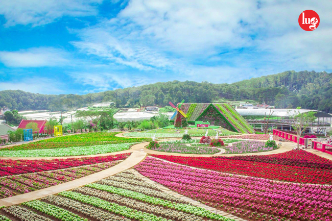 du lịch đà lạt tháng 9