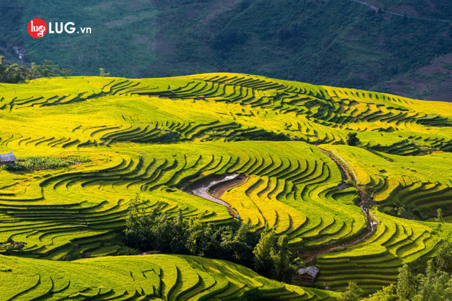 Du lịch Sapa