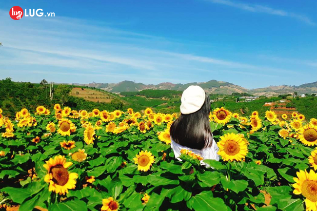 Kinh Nghiệm Du Lịch Đà Lạt Cho Dân Phượt