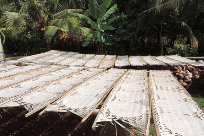 Bánh tráng Mỹ Phồng chất lượng cao