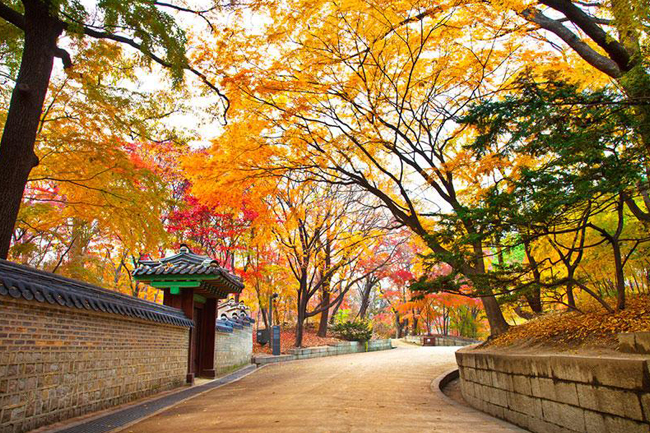 Quên lối về với những địa điểm du lịch, ăn uống nổi tiếng khi đi Du lịch Hàn Quốc