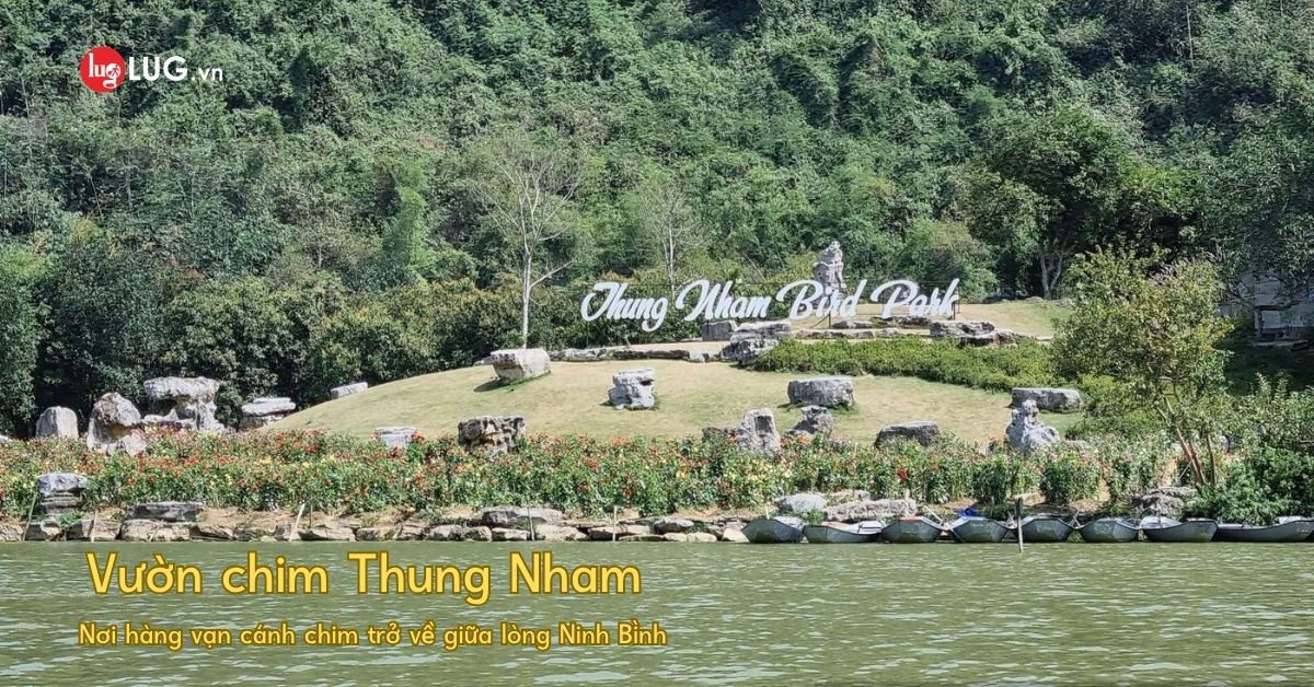 vuon-chim-thung-nham