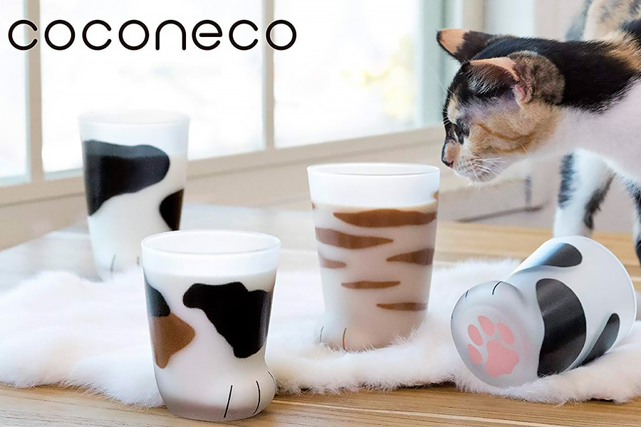 Coconeco - Bộ ly hình chân mèo mướp đen 