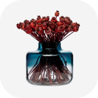 NUDE type23_Bình Hoa