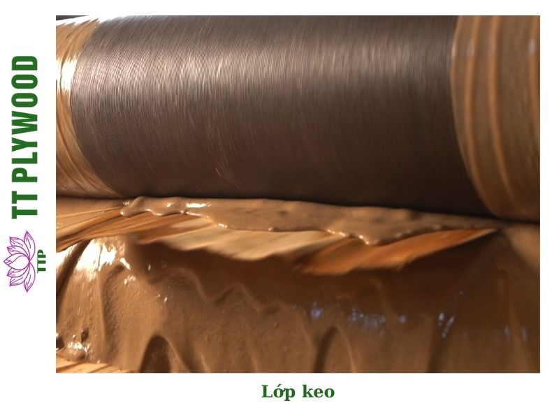 Lớp keo