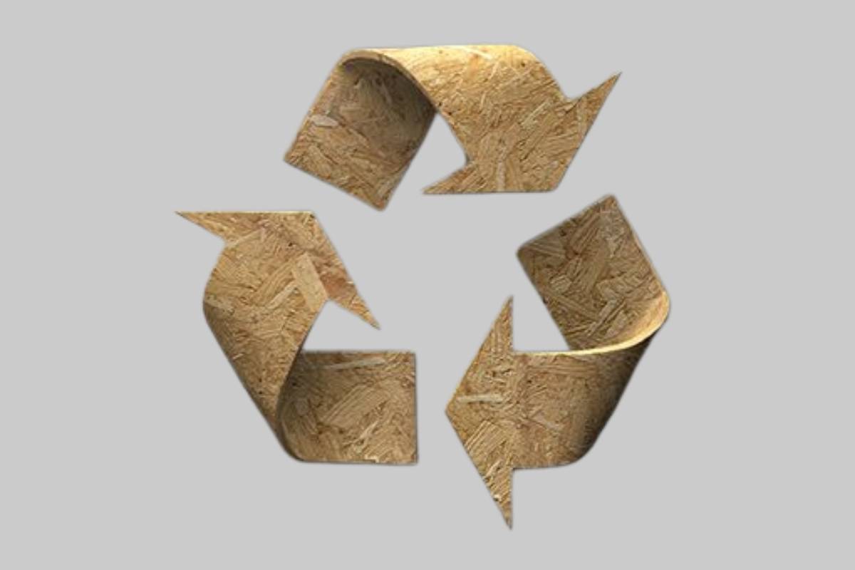 Gỗ là nguồn tài nguyên tái tạo, giúp giảm thiểu lượng chất thải nhựa và khí thải carbon