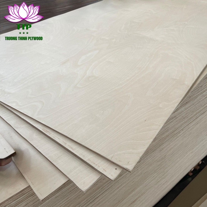 Plywood Made From Birch Wood