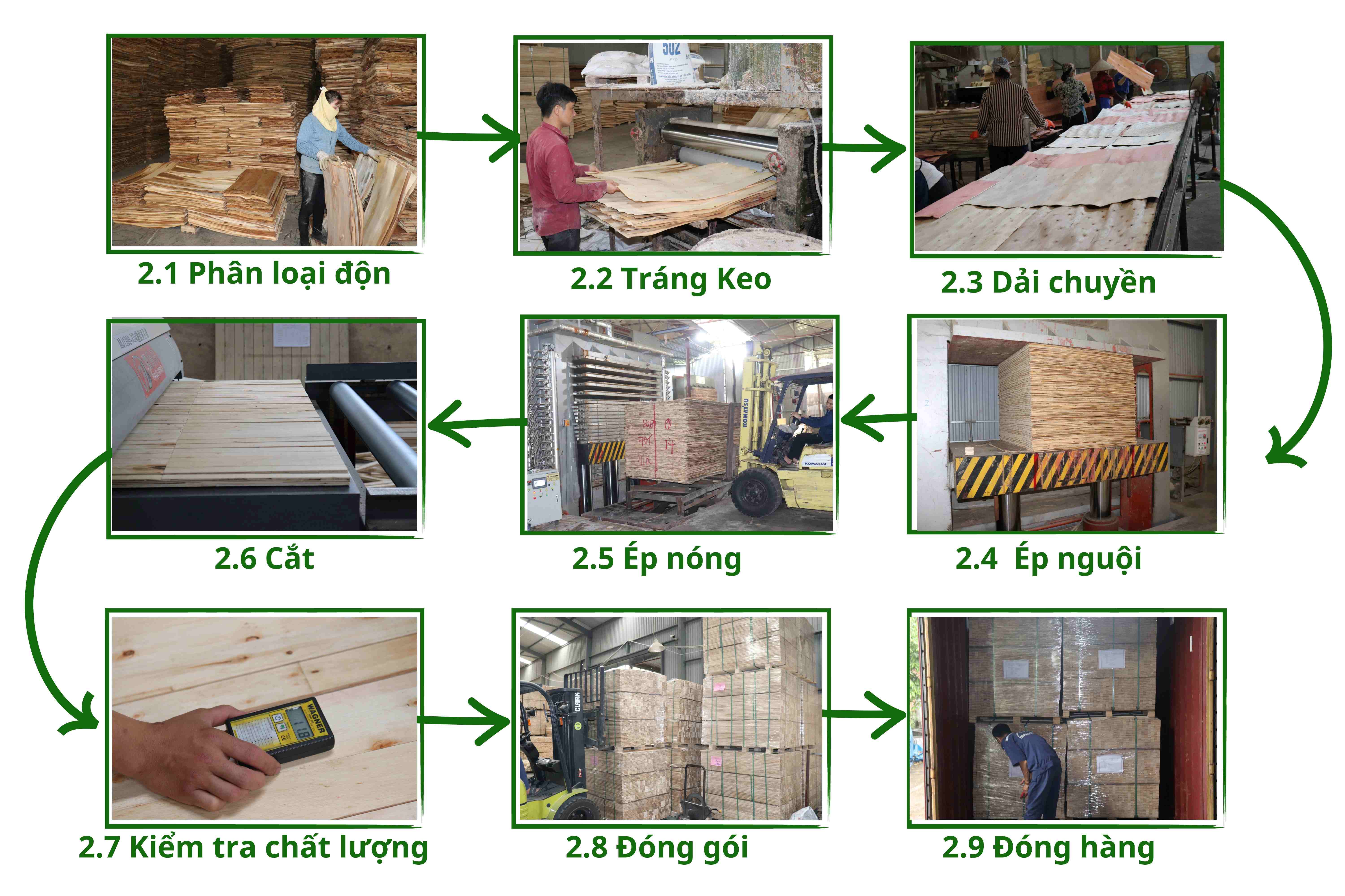 Quy trình sản xuất LVL