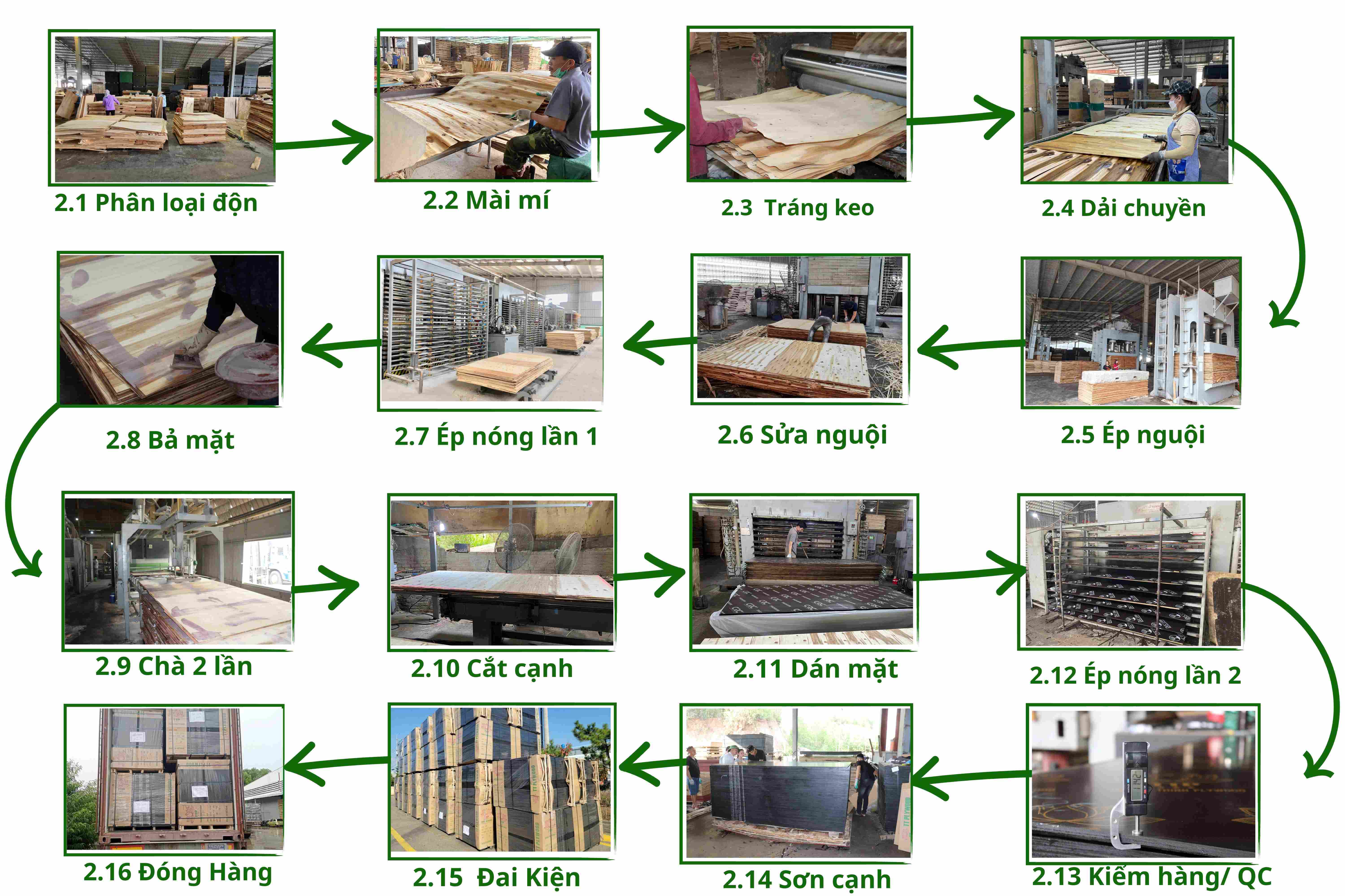 Quy trình sản xuất ván ép phủ phim