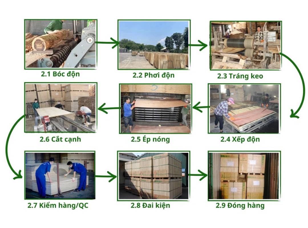 Quy trình sản xuất ván ép bao bì