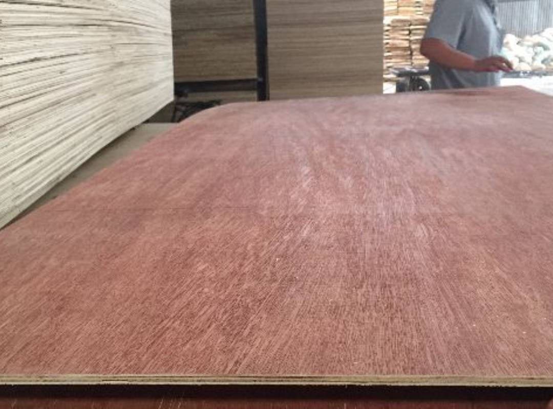 ván ép bintangor bề mặt mịn