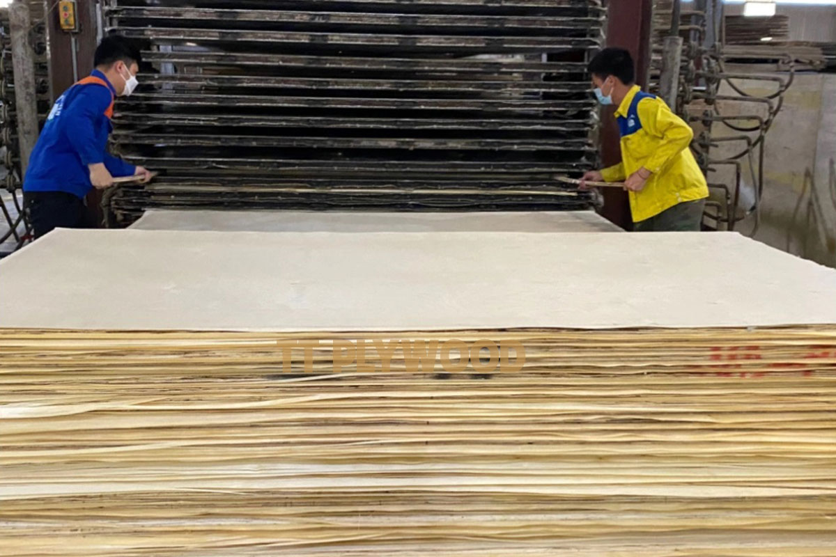 Hot-pressing the face