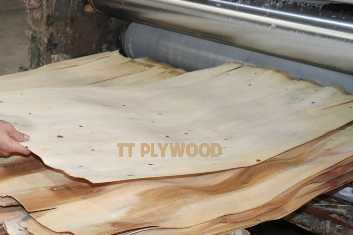 Gluing the core veneer