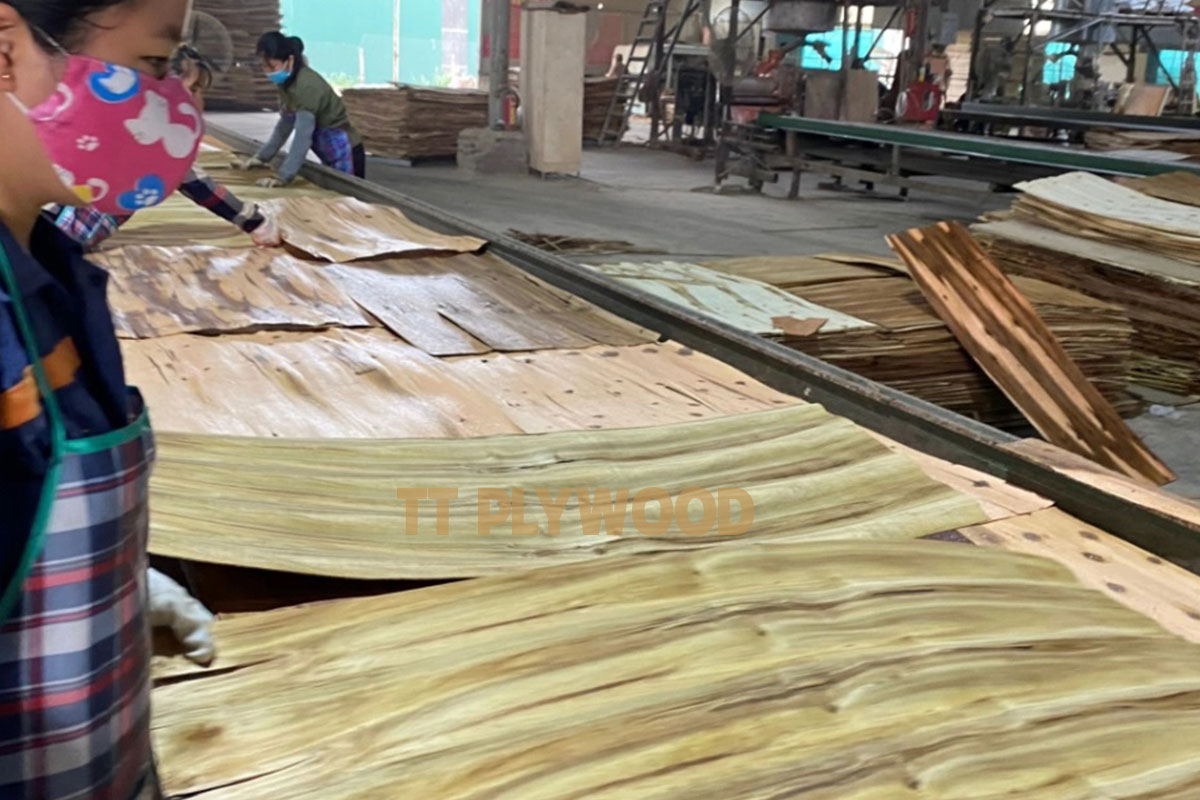 Arranging the core veneer