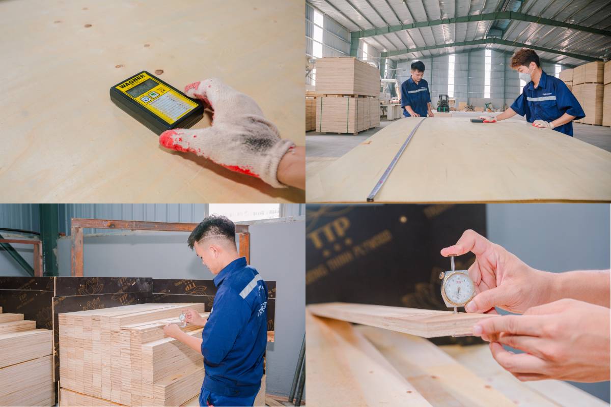 quá trình kiểm tra ván ép