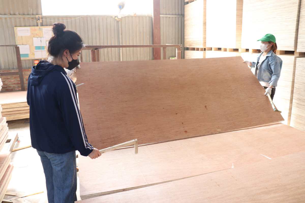 Commercial Plywood