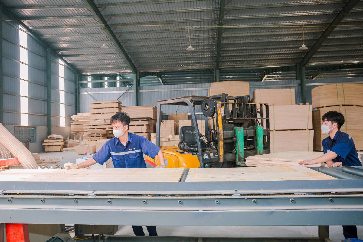 quá trình phủ phim