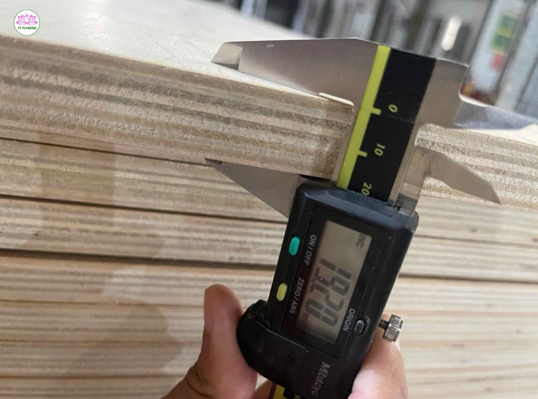 Checking Thickness Birch Plywood