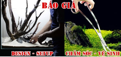 2 Banner gần nhau 1