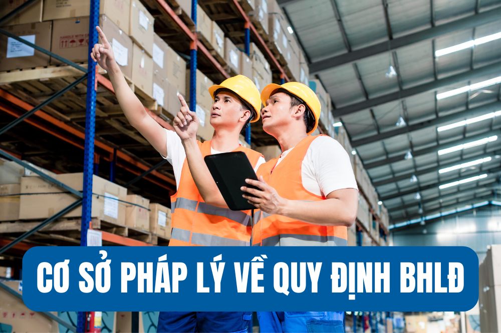 cơ sở pháp lý của quy định bảo hộ lao động