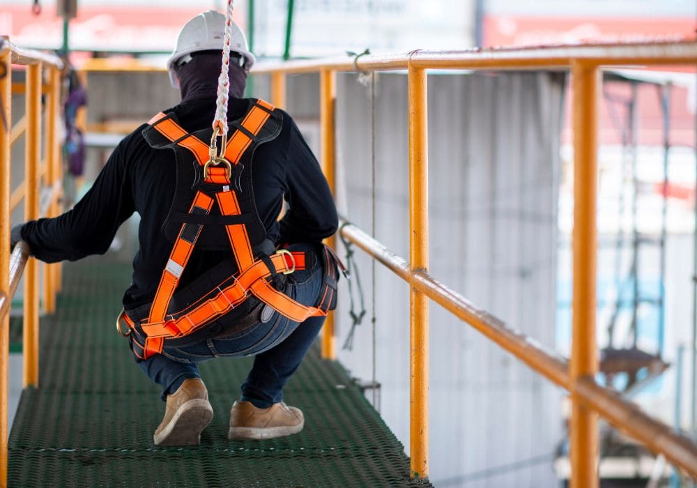 Đai an toàn chính hãng