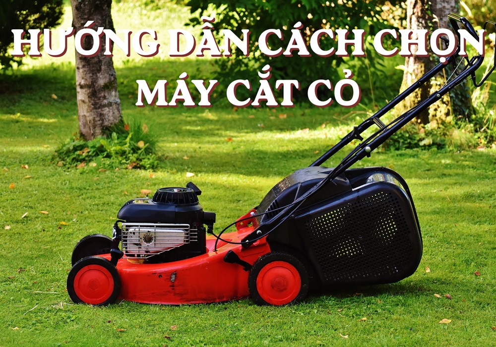 hướng dẫn cách chọn máy cắt cỏ phù hợp với nhu cầu