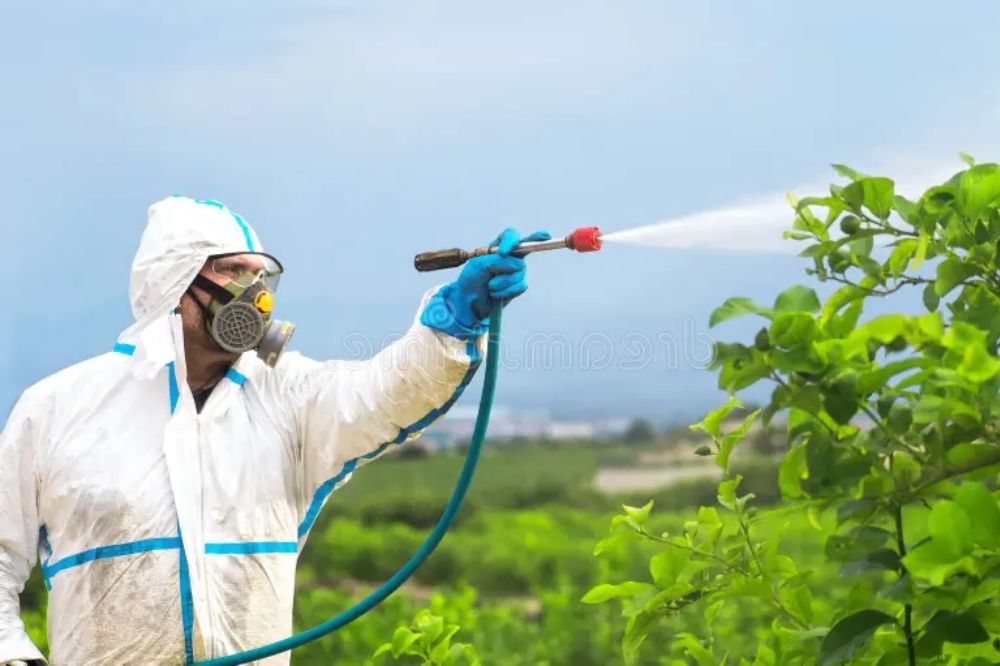 Mặt nạ phun thuốc trong nông nghiệp