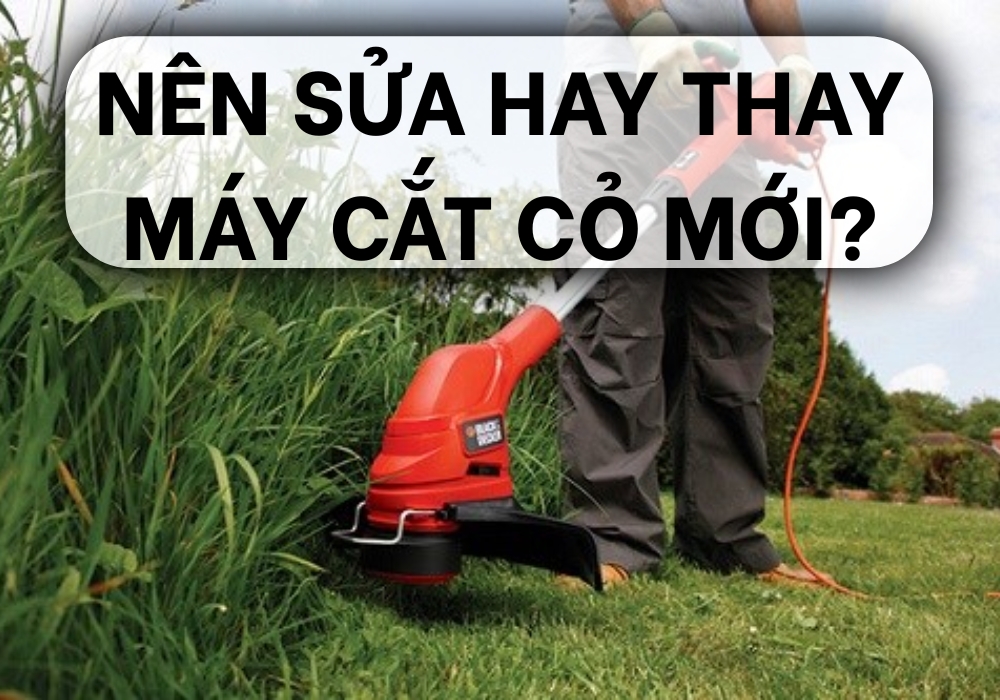 nên sửa hay nên mua mới?
